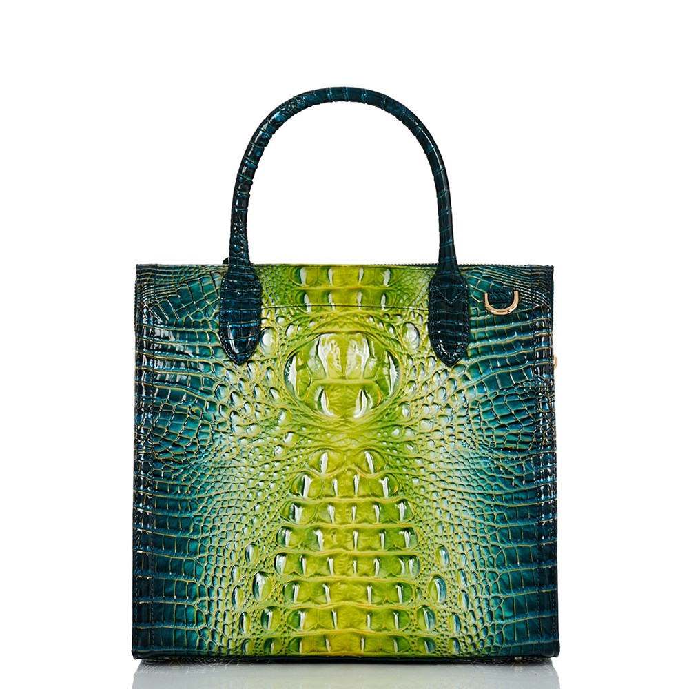 Brahmin Business Bags Wholesale - Caroline Womens Green